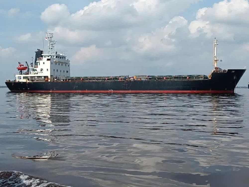4,200 DWT Bulk Carrier, built 2009