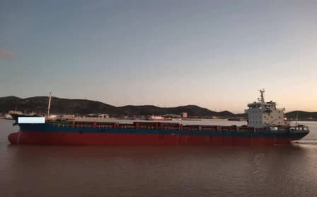 5,000 DWT Bulk Carrier, built 2005