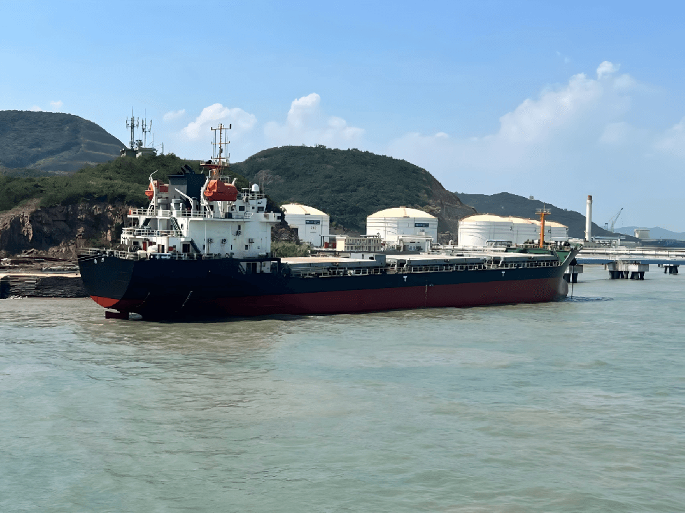 8,790 DWT Bulk Carrier, built 2018