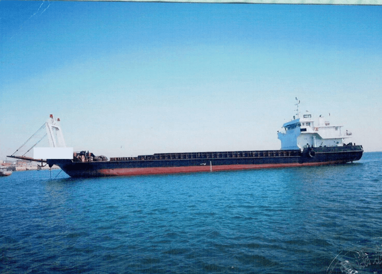 900 DWT Deck Cargo Ship, built 2014
