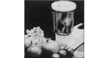 LIQUIDISER FOR COOKING MIXER, PORTABLE 7LTR