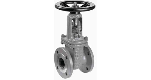 GATE VALVE DIN CARBON STEEL, FLANGED PN10 #309 50MM