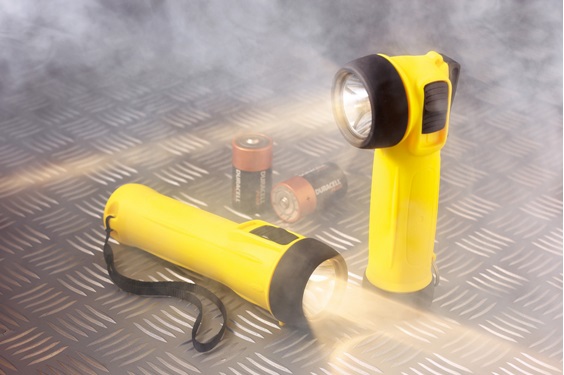 TROCH SAFETY WOLF TS-26B 2CELL, STRAIGHT CONFORMED TO ATEX 