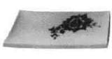 FISH PLATE GRILLED CHINA, JAPANESE STYLE 183X128MM
