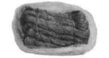 MARLINE TARRED 3MM DIAX0.3KGS