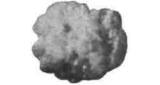 OIL ABSORBENT PELLET IGNEOUS, ROCK NO.1 100LTR (5.5KG)