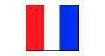 FLAG SIGNAL LETTER 4'X 6' "T"
