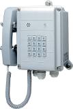 AUTO TELEPHONE DRIP-PROOF WALL, ODA1310-1