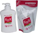 SOAP HAND IN PUMP DISPENSER, JELL 250ML