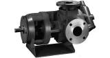 PUMP INTERNAL GEAR CAST IRON, GG015 15 USGPM