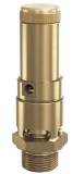 VALVE SAFETY BRASS DIN #810SGK, FKM SEAL DN8