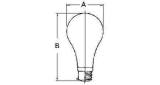 LAMP EMERGENCY BATTERY E-26, 12V 10W