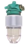 LIGHT PENDANT MARINE LED EG, CLEAR 24V DC 10W EMC/IEC 