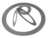 GASKET RING GRAPHITED BLIND, PN16 TH:2MM SIZE 15 22X50MM 