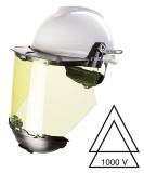 ARC FLASH PROTECT PREMIUM KIT, MSA EN166 & GS-ET-29 CLASS 2